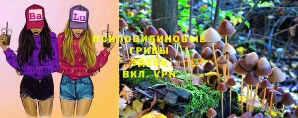 ECSTASY Абинск