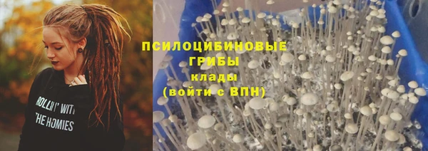 ECSTASY Абинск