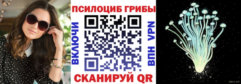 Псилоцибиновые грибы Psilocybe  Новоалександровск 