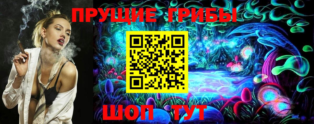 Галлюциногенные грибы Psilocybe Новоалександровск