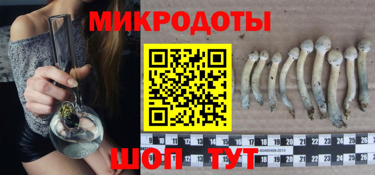 Псилоцибиновые грибы GOLDEN TEACHER  Вход с VPN  Новоалександровск  Псилоцибиновые грибы мицелий 