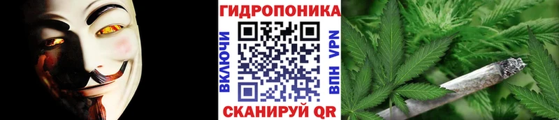 МАРИХУАНА сатива  купить наркотик  Новоалександровск 